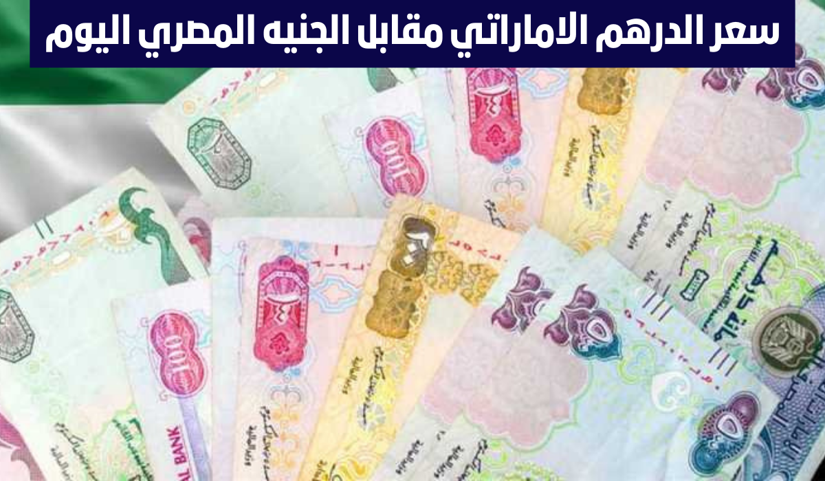 Raised to the top again… The price of the UAE dirham against the Egyptian pound today on the black market